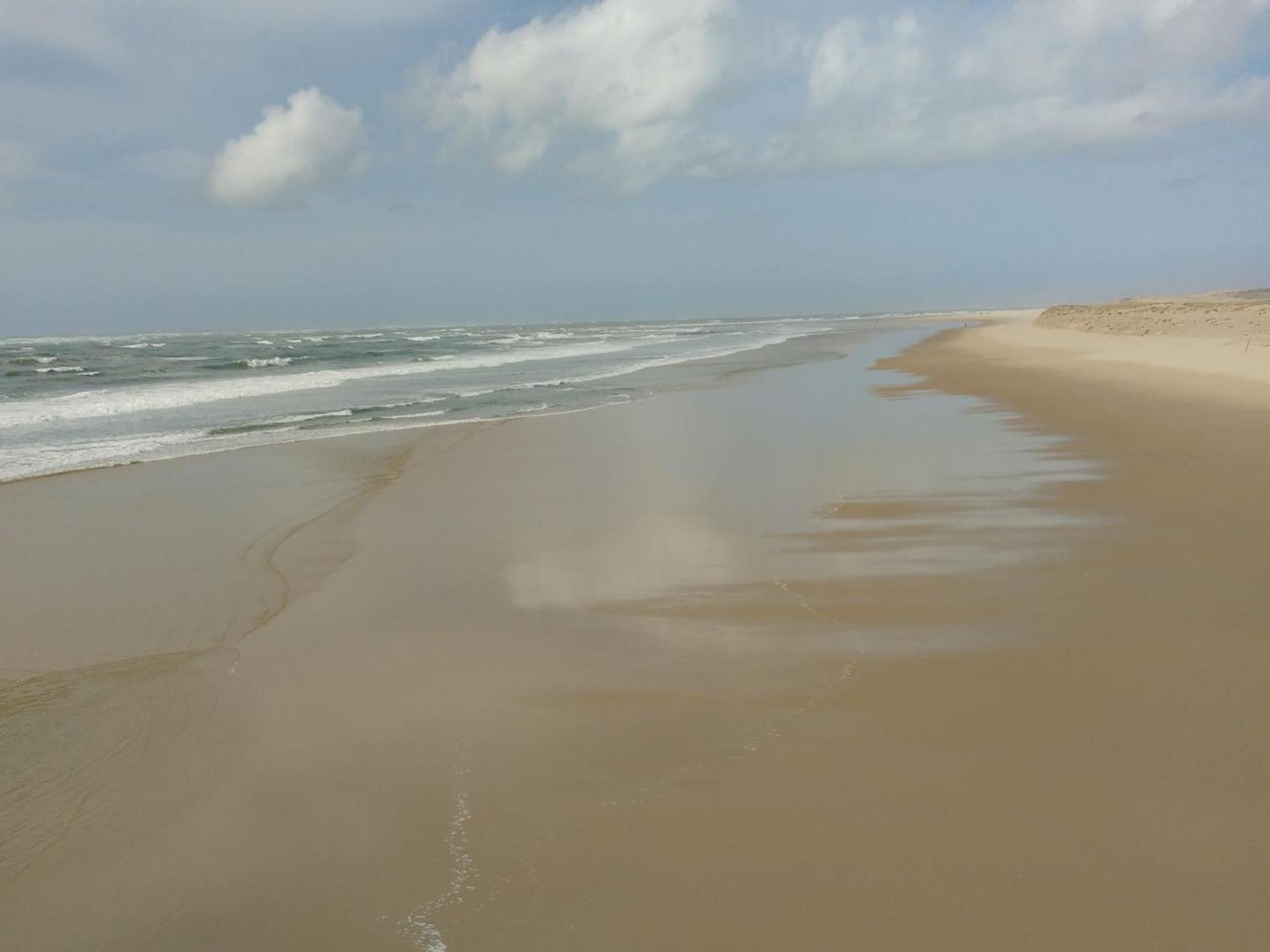 Appartement Arcachon, 3 pièces, 6 personnes - FR-1-474-174 Esterno foto